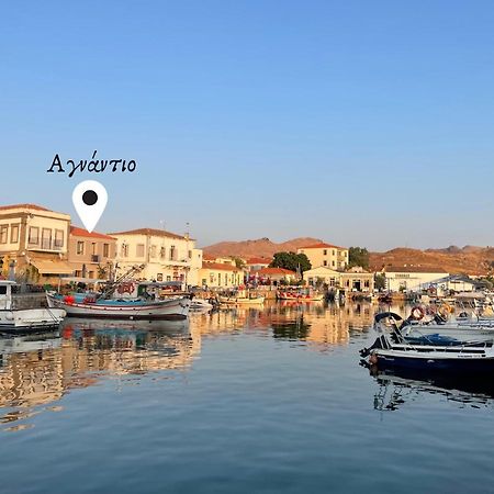 «Αγναντιο L» Δωμάτιο Με Μοναδική Θέα! ミリナ エクステリア 写真