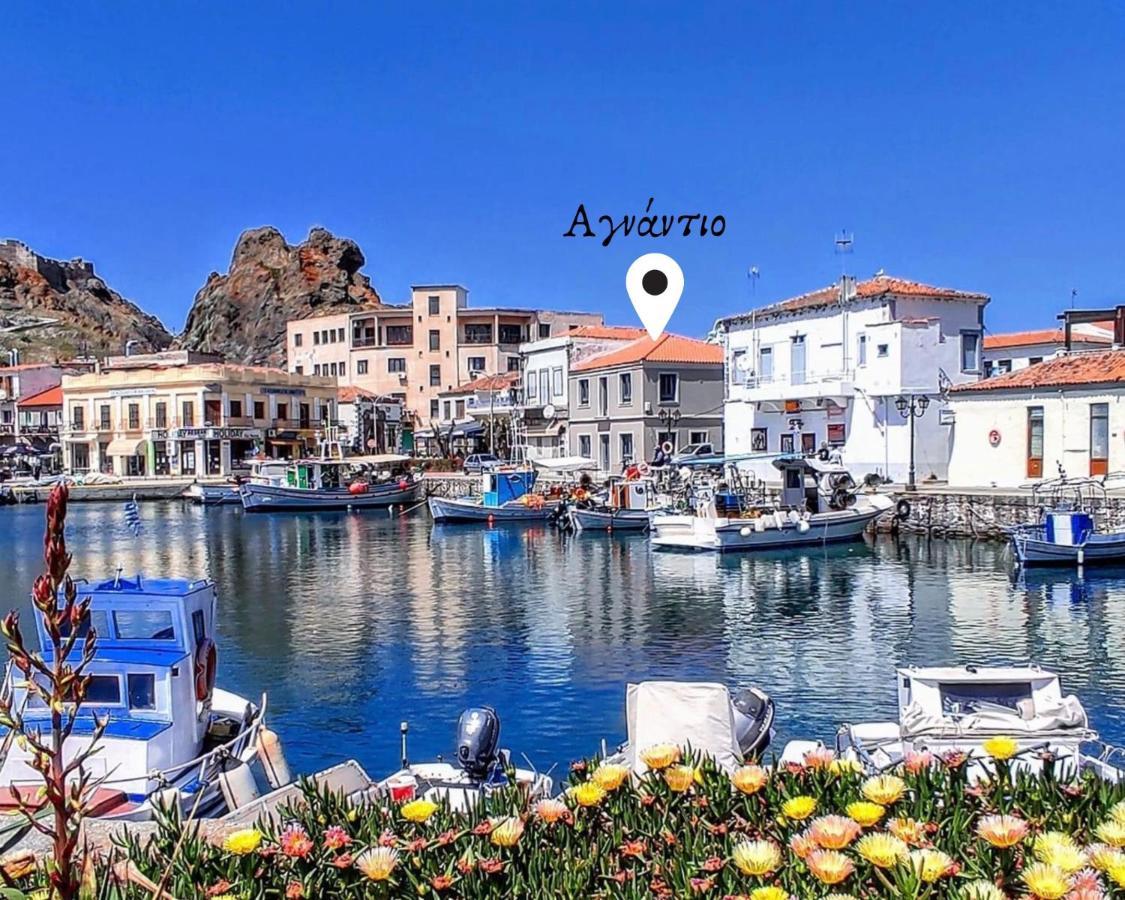 «Αγναντιο L» Δωμάτιο Με Μοναδική Θέα! ミリナ エクステリア 写真