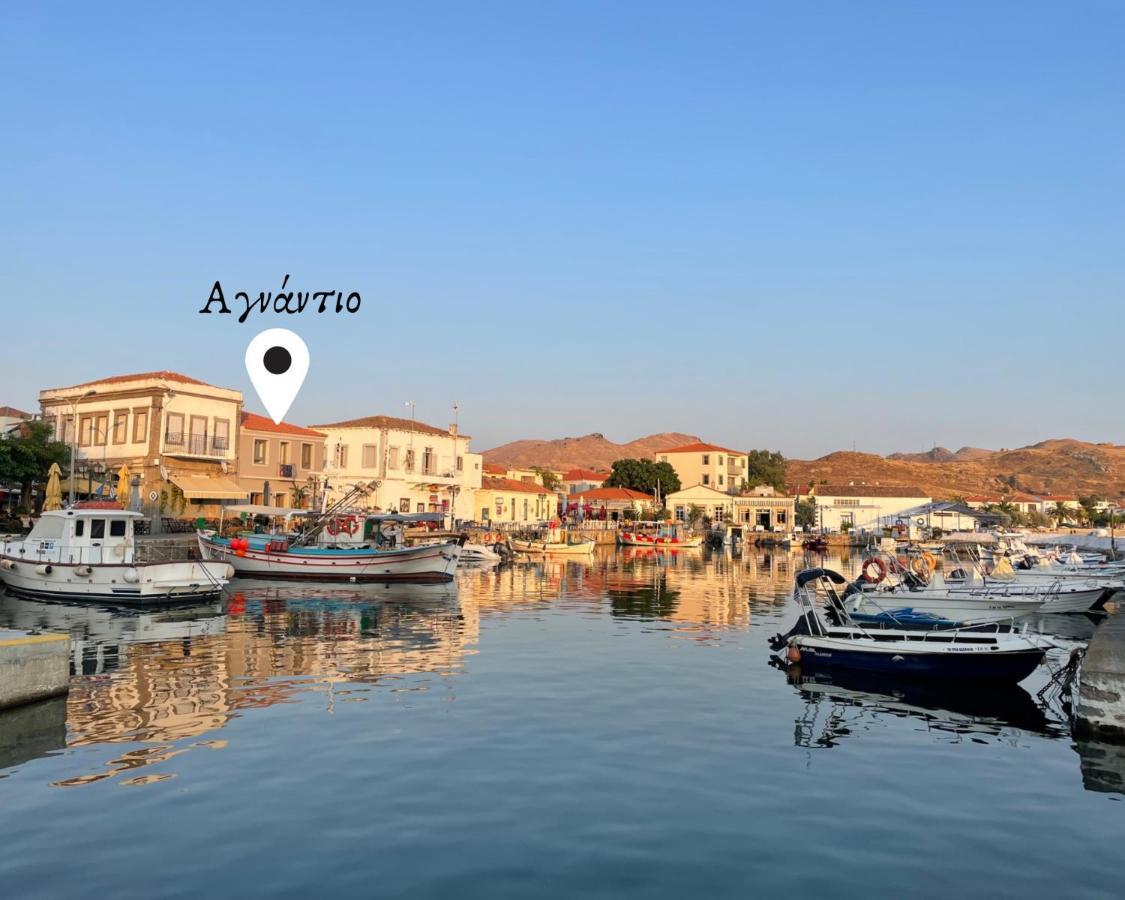 «Αγναντιο L» Δωμάτιο Με Μοναδική Θέα! ミリナ エクステリア 写真